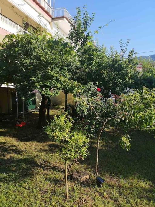 Apartment Evangelias House! Stavros (Thessaloniki)